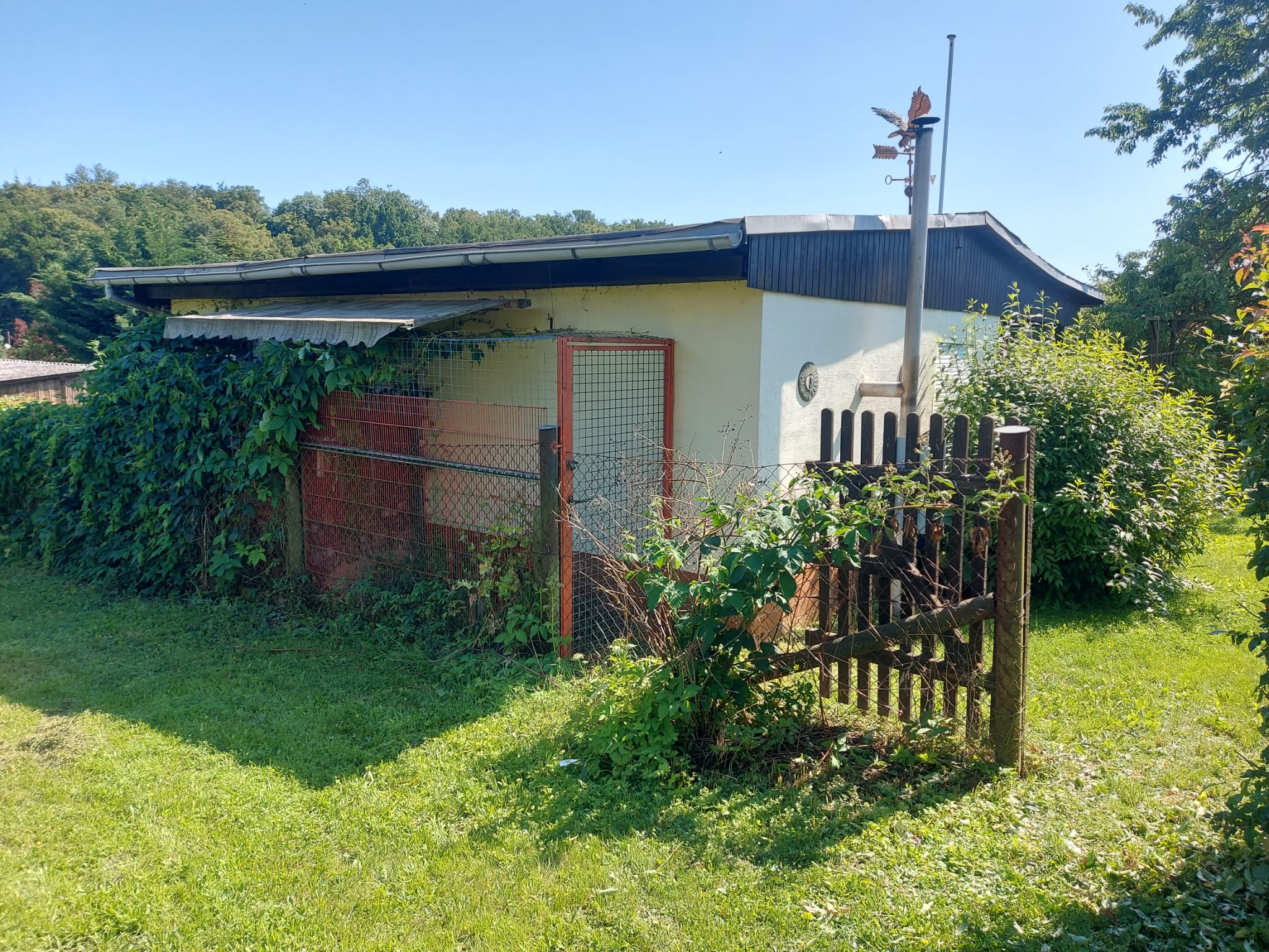 Gartenbild 2