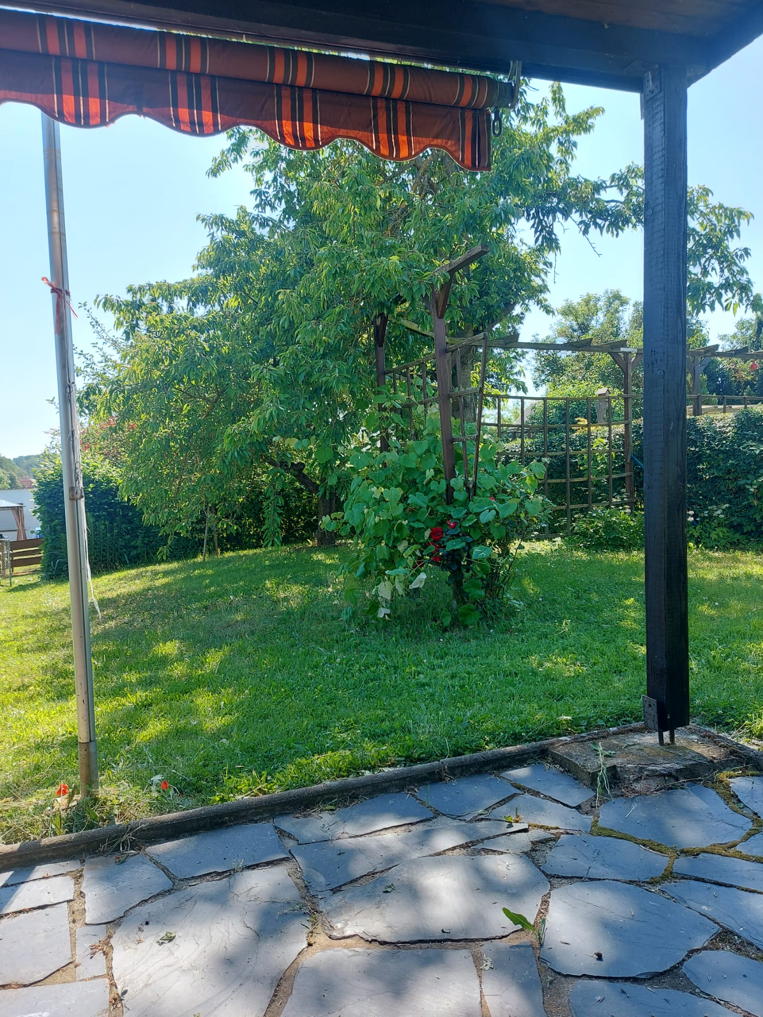 Gartenbild 10